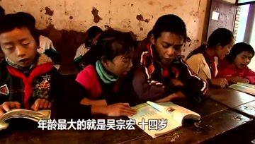 乡野农哥的视频